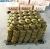 Import Factory Supply Screw Pallet Coil Nails 3-1/4-in Coil Framing Nails from China