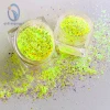 Fast Delivery Chinese Supplier Eco-Friendly Body Glitters Mixed Diamond Color For Diy Manicure