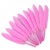 Import Feather Factory Wholesaler Natural Goose Feather 4-6Inch/10-15Cm 100 Pcs DIY Carnival Headdress Mask For White Ostrich Feather from China