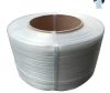Flexible and Soft Polyester Composite Cord Strap with 13-32mm Size