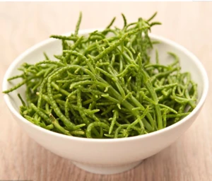 foodstuff salty dried vegetables salicornia and salicornia seeds like sea asparagus price