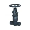 Forged Steel Globe Valve SS/AS/CS A105/F22/304/316 Threaded/SW/Pressure Sealing CL900-2500