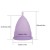 Import Free SampleFactory Price Lady Feminine Period Silicone Organic Menstrual Cup from China