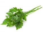 Fresh Celery
