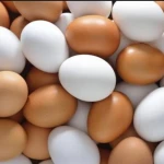 Fresh Chicken Table Eggs