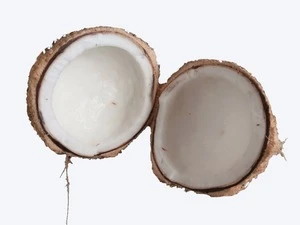 Fresh Coconut From Indonesia