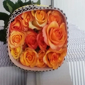 Fresh Cut Rose Flower From India