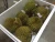 Import Fresh Durian A4 Fruit from Thailand