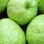 Import Fresh Guava from South Africa