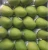 Import Fresh Mango - High Quality - Best Price from Viet Nam from Vietnam