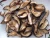 Import fried shiitake mushroom chips vegetable snack foods from China