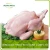 Import frozen halal bone in whole chicken from China