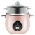 Import Full plastic luxury rice cooker from China