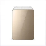 FZS High Quality 10L Mini Fridge Portable 12V 220V Refrigerator Car Fridge for Drugs Cosmetic Drink