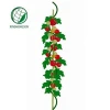 Galvanized climbing tomato spiral plant support wire
