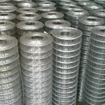 Galvanized Mesh Welded Wire Mesh Galvanized Galvanized Welded Wire Mesh Panels