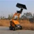 Import gasoline skid steer Forklift from China