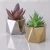 Import Gold And Silver Pot With Mini Size Artificial Plastic Succulents Plants from China