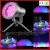 Import Good quality 9pcs mini led underwater fountain light for sale from China