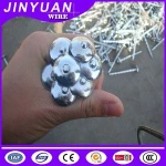 Good quality building materials galvanized smooth shank umbrella head roofing nails