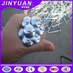 Good quality building materials galvanized smooth shank umbrella head roofing nails
