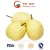 Import Good Quality Grade a China Ya Pear from China