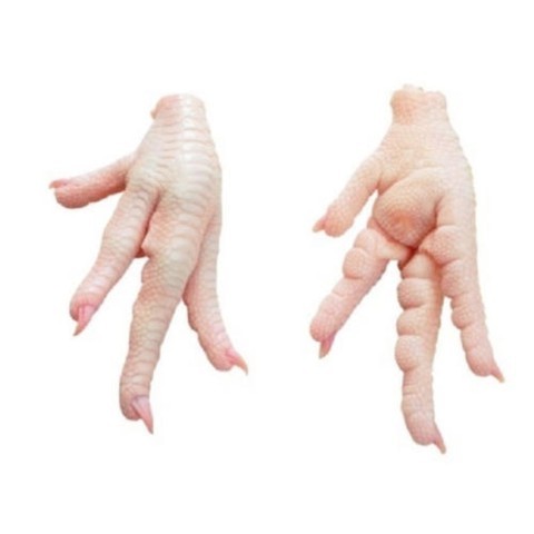 Hala Frozen Chicken Feet/Chicken Paws/ Chicken Leg at Best Prices