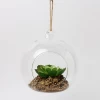 hanging or table decoration artificial succulent plants in glass pot