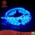 Import High Brightness IP 68 SMD 5050 LED Strip Extension Light Outdoor Garden Building Decoration from China