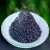 Import High Quality 100% Natural Riceberry Rice Thailand from Thailand