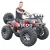 Import High Quality Adults Sports Quad ATV from China