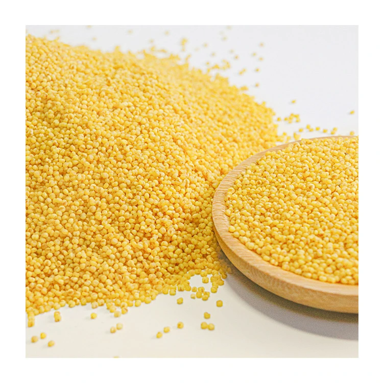 High Quality Chinese Yellow Organic Hulled Millet