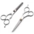Import High Quality Durable Using Various Contains Two Best Barber Scissors Hair Cutting Set from Pakistan