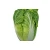 Import High quality fresh chinese fresh white purple round green cabbage from China