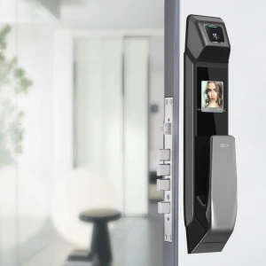 High quality fully automatic  password locks with fingerprint smart face recognition door lock
