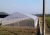 Import High Quality Plastic Film Agriculture Greenhouse For Vegetable from China