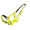 High Quality PVC Horse Halter for Horse Racing