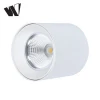 High quality surface mounted COB 6w 9w 12w 15w 20w 24w 30w 36w bathroom led ceiling light