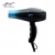 Import High Speed Professional Customized Professional Salon Hotel Hair Dryer from China