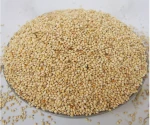 Highly Purity White Broomcorn Millet