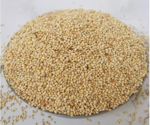Highly Purity White Broomcorn Millet