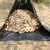 Import Home Garden UV Resistant Tarp Drawstring Green Yard Clean Up Leaf Tarps from China