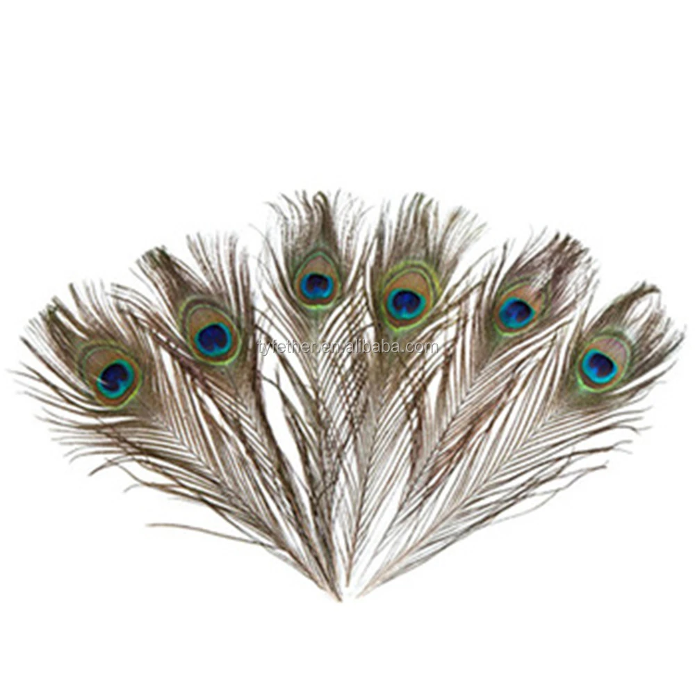 Hot sale 25-120cm Natural Peacock Feather With Eyes