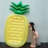 Hot sales thicken pvc Inflatable Big pineapple On the water Floating row Swimming ring