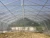 Import hot selling hoop house greenhouse Single-Span climate control arch green house hydroponic planting other greenhouse from China