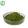 Hot Selling Instant Natural Slimming Green Tea Matcha Powder