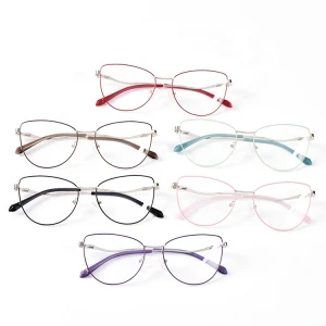 Hottest Double Bridge Acetate Optical Eyewear Frame Optical Glasses