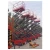 Import Hydraulically driven electric aerial work platform from China