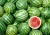 Import Indian Green Water Melon from India