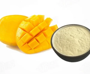 Instant Fruit Juice Flavor water soluble 100% natural mango powder drink